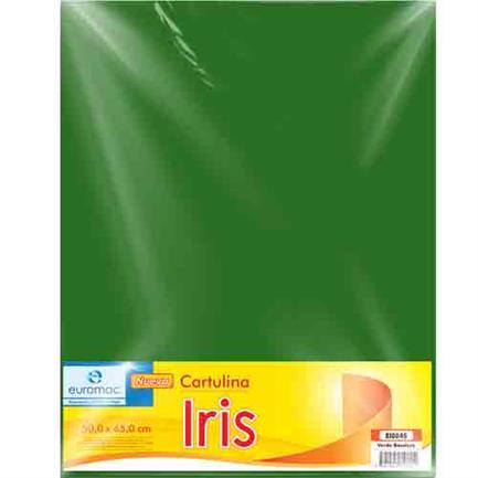 Cartulina Euromac Iris Vde Bandera 50X65 con 10 hojas