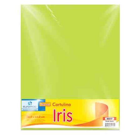 Cartulina Euromac Iris Verde Limon 50X65 con 10 hojas