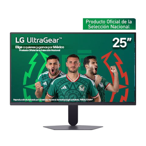 Monitor LG Gaming UltraGear 25 pulgadas FHD 200Hz G5 IPS 1920x1080 para empresas · fastco