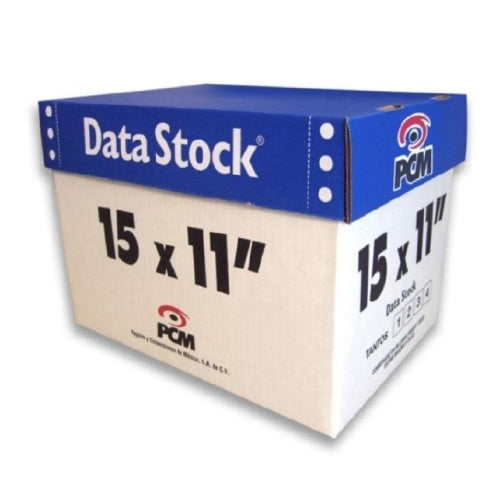 Papel PCM DataStock 15x11" 1Tantos Blanco con 3000 Hojas