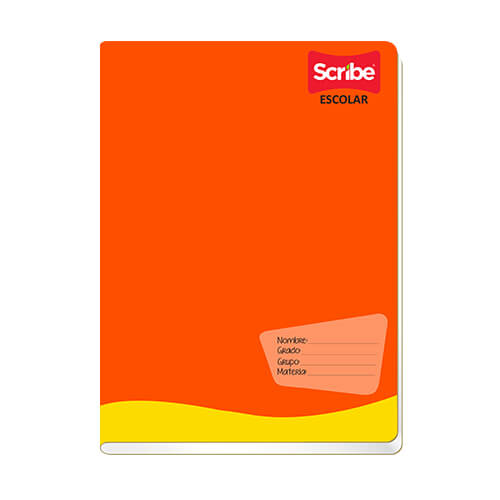 Cuaderno Scribe Frances Grapado C5 100 Hojas